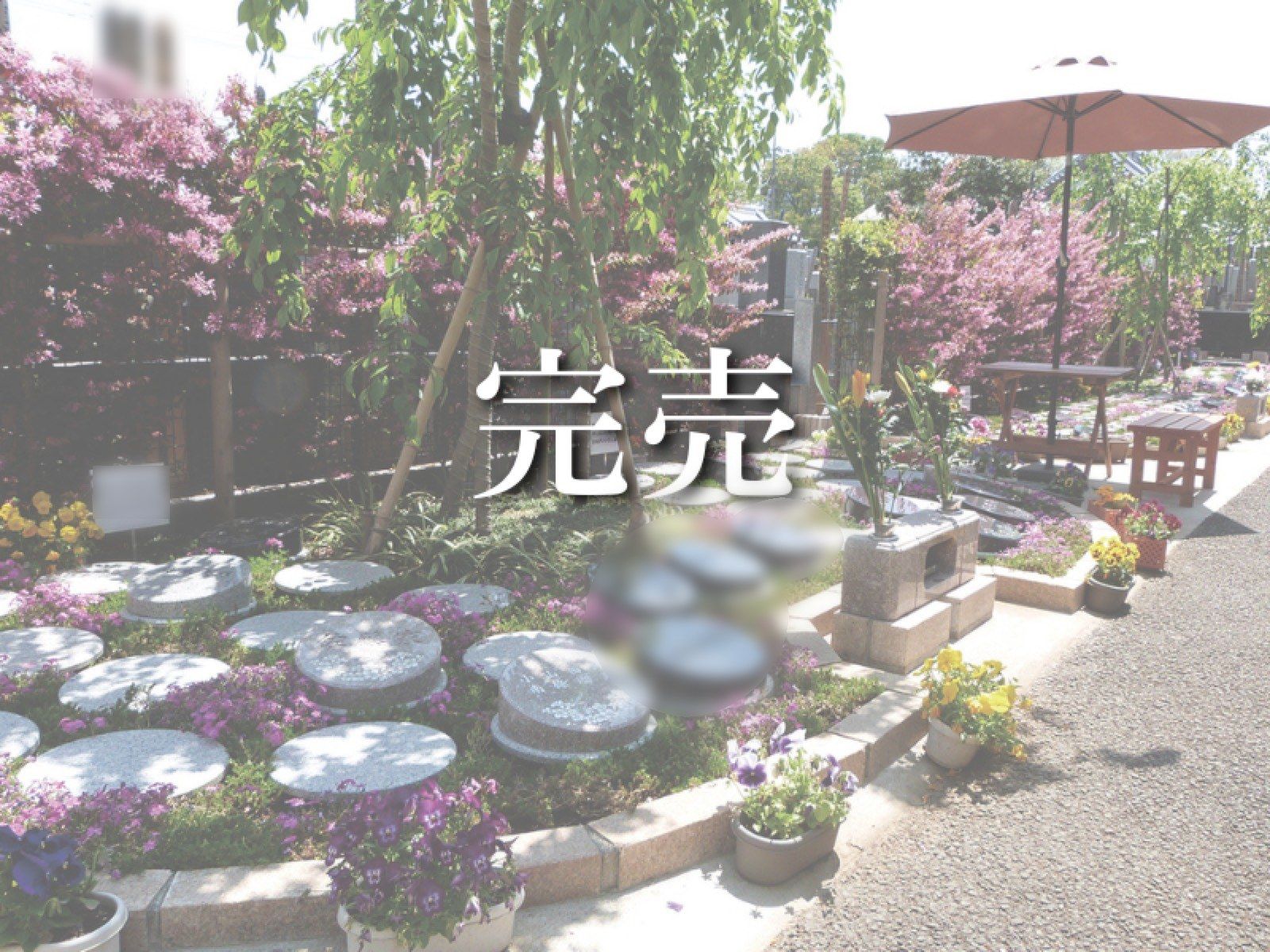杉並区 樹木葬 桜の庭園