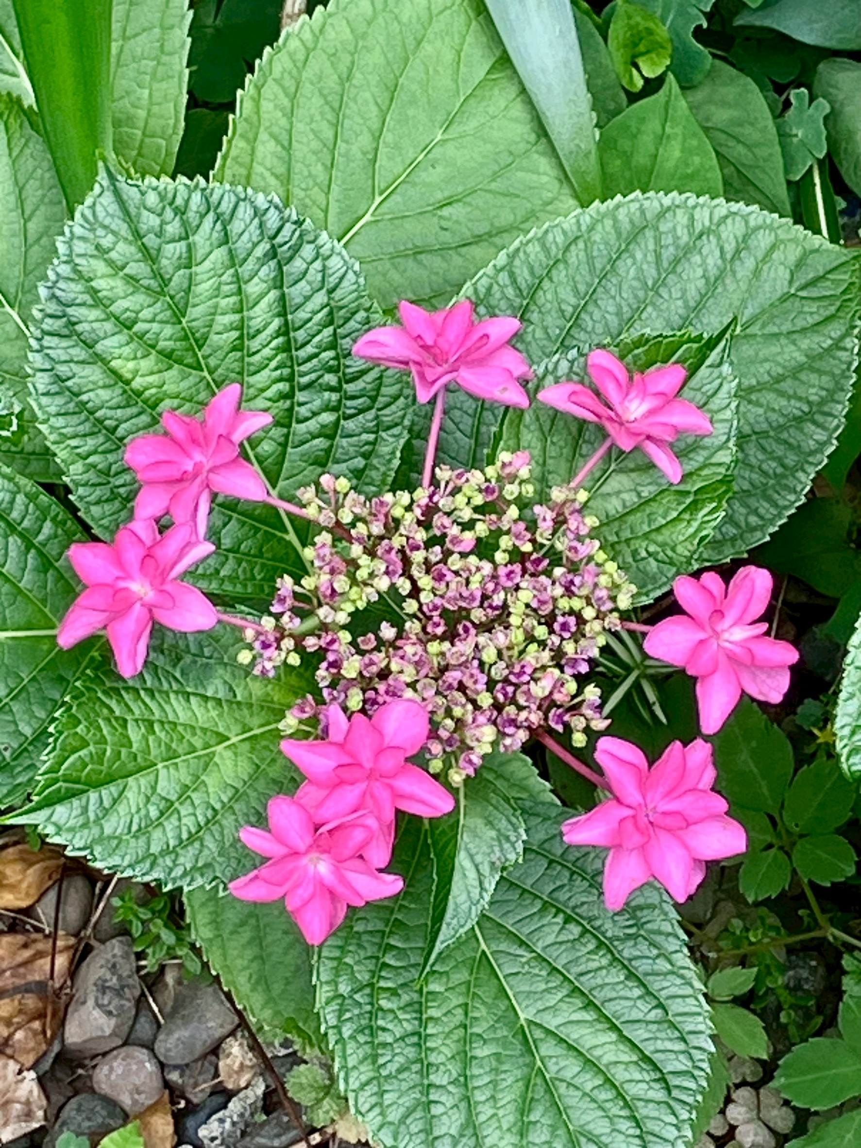 港区 納骨堂｜芝大門御廟の写真