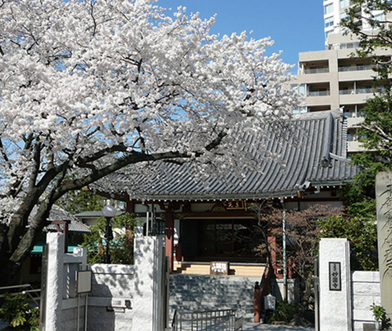 表参道 樹木葬｜けやきガーデンの写真
