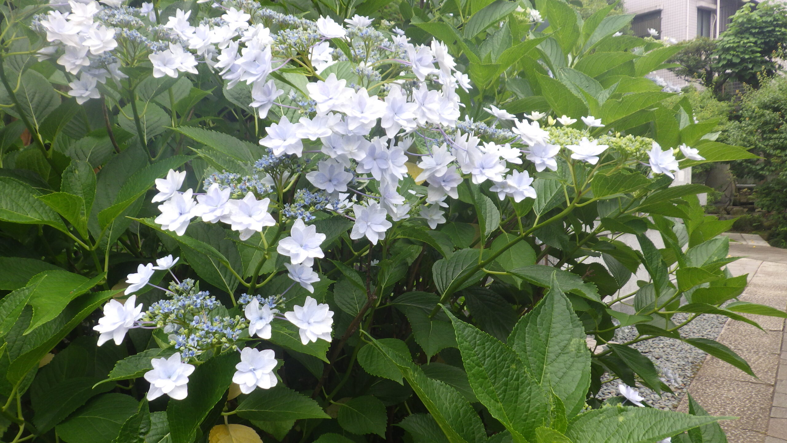 宗旨・宗派不問