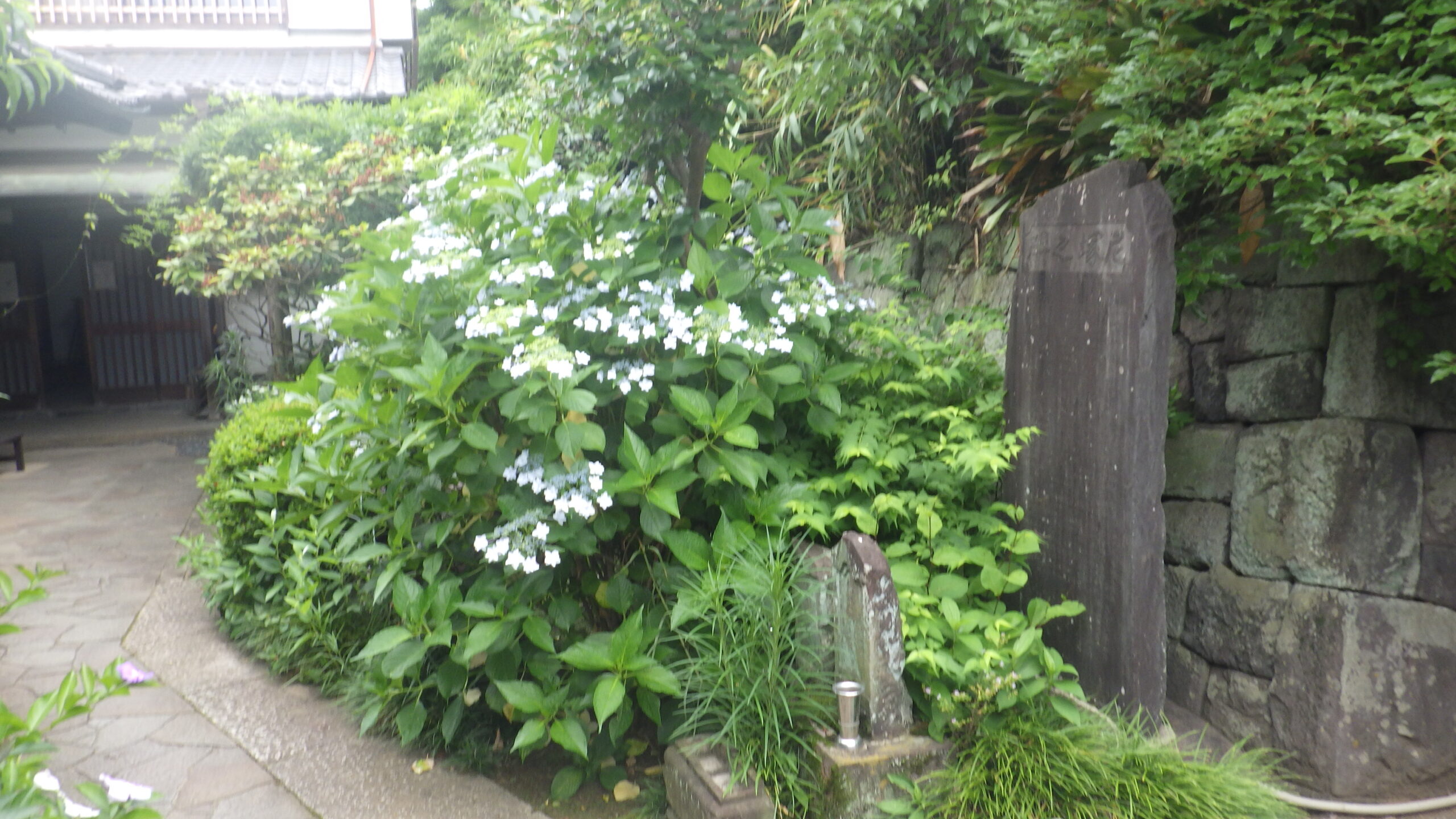 三田 永代供養墓｜薬王寺「やすらぎ」の写真