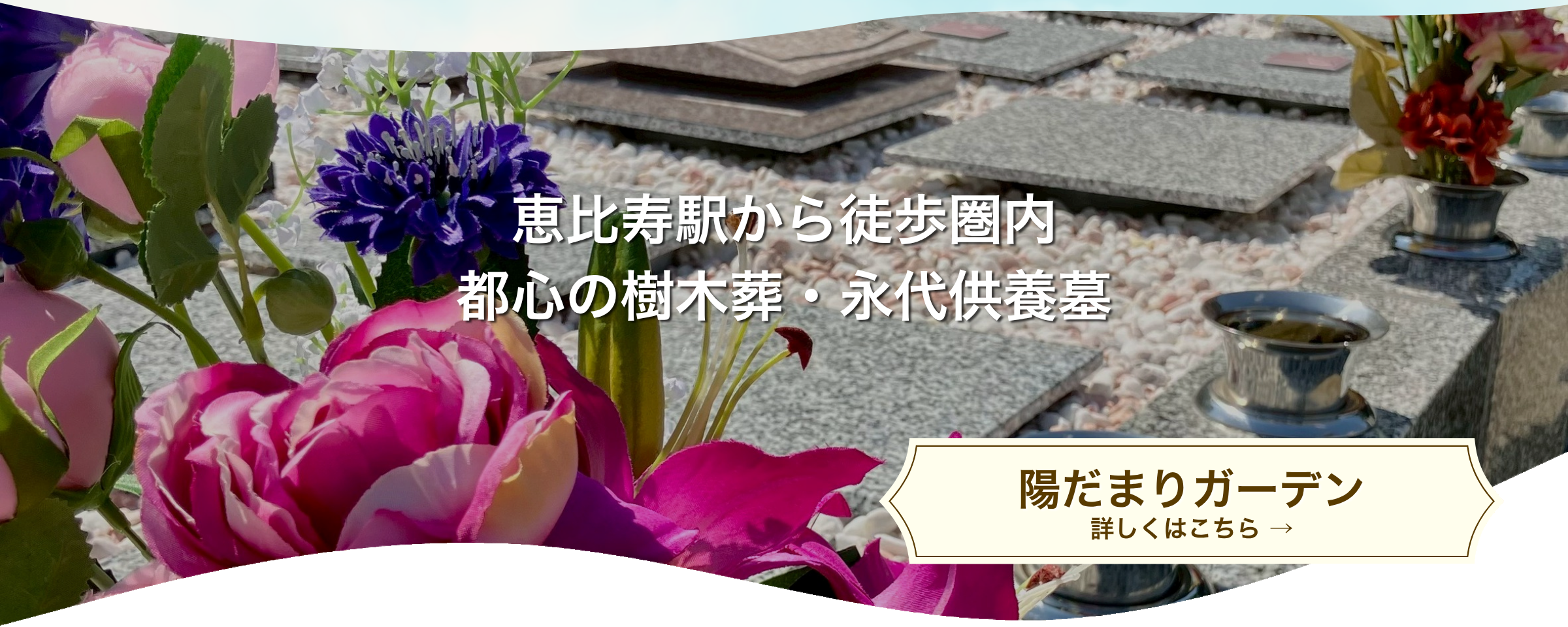 株式会社宙の会